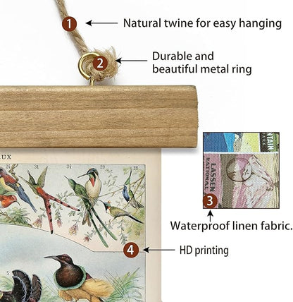 XIAOAIKA 2 Pack Vintage Nature Posters: Bird Species and Bird Eggs - Illustrated Educational Charts with Wooden Frames for Ornithologists, Nature Lovers 16 x 23 Inches