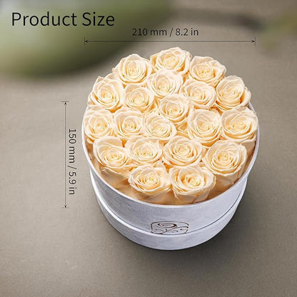 Gifts for Women Preserved Roses Flower Box, Luxury Velvet Box with 20 Roses, Preserved Flowers, Romantic Gift for Her, Wife, Girlfriend, Birthday Anniversary Christmas (Buttermilk)