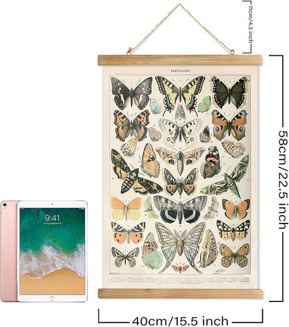 XIAOAIKA 2 Pack Vintage Butterfly Poster - Cottagecore Room Decor Aesthetic - Classic Lepidoptera Wall Art with Wooden Frame - Educational Decor for Nature Enthusiasts and Collectors 16 x 23 inches
