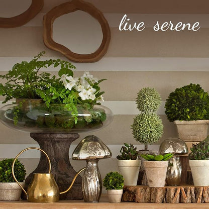 Serene Spaces Living Large Free-Form Edge Glazed Ceramic Bowl, Centerpiece for Vintage Weddings, Events, Measures 6" Long, 5.5" Wide, 2.75" Tall, Pack of 4