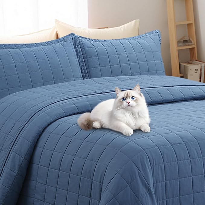 Quilt Queen Size Bedding Sets - 100% Cotton Lightweight Luxury Comforter Set, Full Size Stitching Bedspreads Coverlet with 2 Pillowcase Suit for All Season, Blue