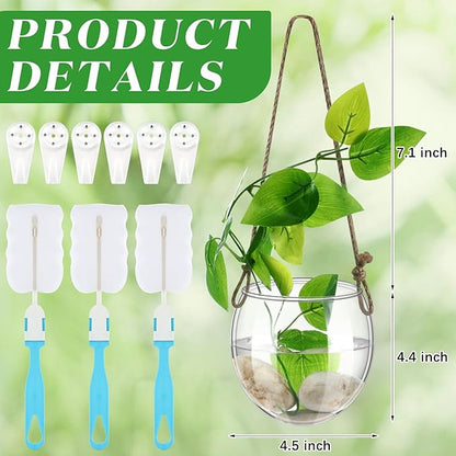 6 Pcs Wall Hanging Planter Glass Plant Pot Water Terrarium Containers Wall Vases for Flowers Air Hydroponic Propagation Glass Plant Holder Home Room Window Office(Oblate)