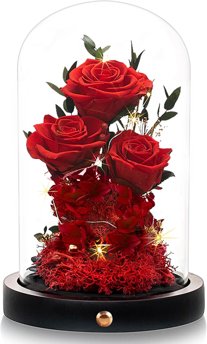 Valentines Day Flowers Roses Gifts for Her,Forever Real Preserved Roses in Glass Dome,Valentines Day Anniversary Birthday Gifts for Wife Girlfriend Women Mom Best Friend Her/Red Rose