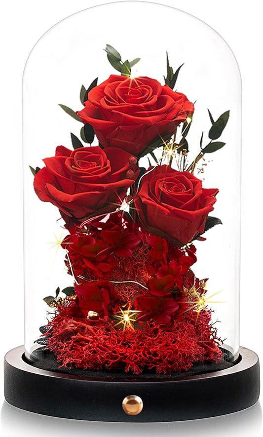 Valentines Day Flowers Roses Gifts for Her,Forever Real Preserved Roses in Glass Dome,Valentines Day Anniversary Birthday Gifts for Wife Girlfriend Women Mom Best Friend Her/Red Rose