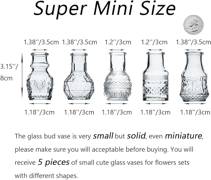 Glass Bud Vase Clear Mini Vases 5Pcs EylKoi Flowers Cute Vintage Small Glass Tiny in Bulk Different Shape Modern Set Lovely for Decor Table Wedding Home Table Centerpieces Dinning Party