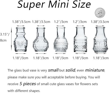 Glass Bud Vase Clear Mini Vases 5Pcs EylKoi Flowers Cute Vintage Small Glass Tiny in Bulk Different Shape Modern Set Lovely for Decor Table Wedding Home Table Centerpieces Dinning Party
