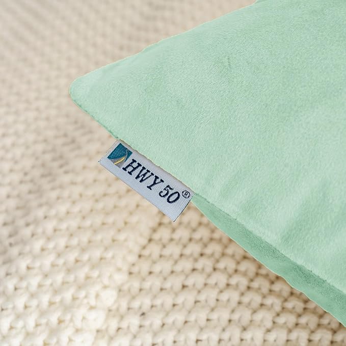 HWY 50 Aqua Green Velvet Throw Pillow Covers 20x20 Inch, Pack of 2 Soft Cozy Solid Decorative Luxury Cushion Cases for Couch Sofa Bed Living Room Bedroom
