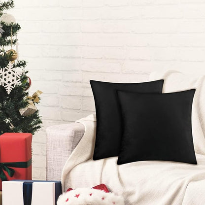 2 Pack 22x22 Pillow Cover Velvet Pillow Covers, Square Throw Pillow Covers for Living Room Decorations Throw Pillow Case, Throw Pillow Cover Cushion Cover for Sofa Bedroom Car, Black Velvet