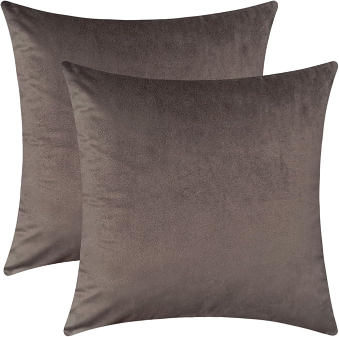 Jeneoo Set of 2 Comfy Soft Velvet Throw Pillow Covers Couch Solid Square Cushion Cases for Home Bedroom Sofa Car Decorative (Coffee Brown, 18 x 18 Inches, 2 Pieces)