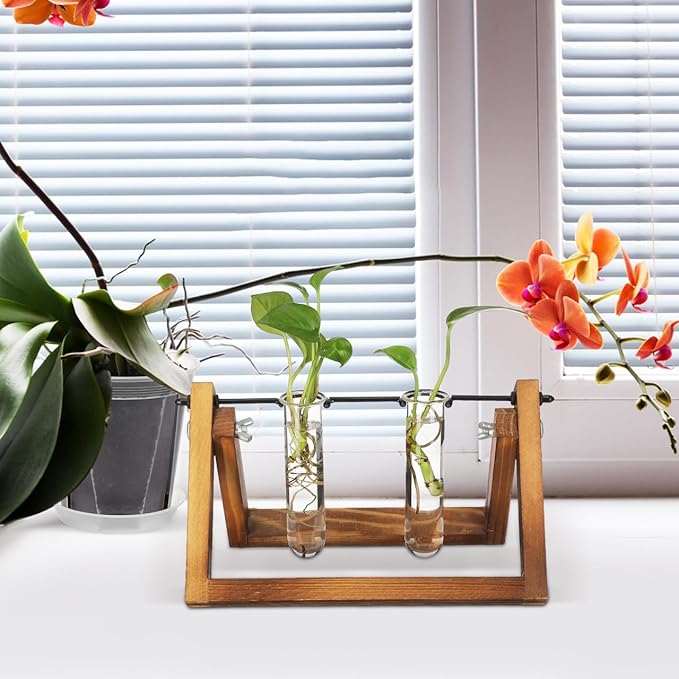 Housoutil Glass Test Tubes for Plants, 5PCS Glass Propagation Tubes for Plants, Test Pipe Vase for Scientific Experiments, Party Office and Home Decorations, Flowers Desktop Propagation