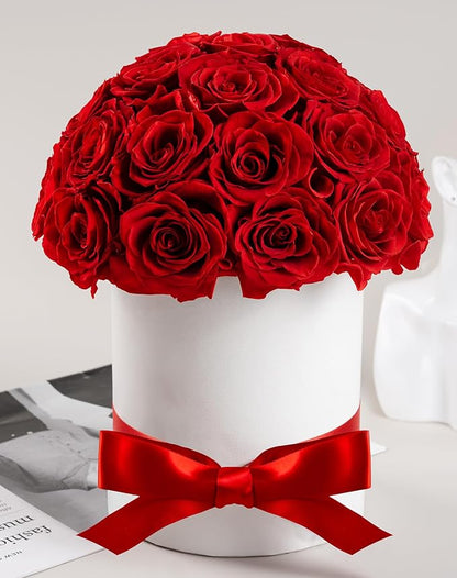 27 Forever Roses Dome in Luxury White Box, Eternal Real Roses Birthday Gifts for Women, Preserved Flowers for Delivery Prime, Anniversary, Valentine's Day, Mothers Day for Mom (Red)
