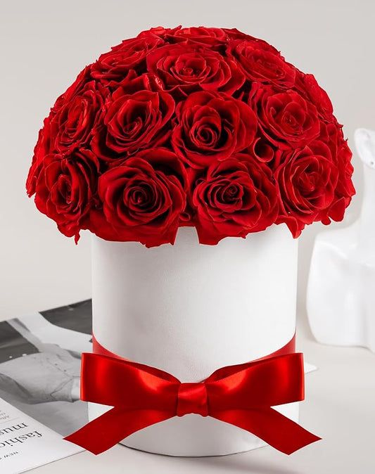 27 Forever Roses Dome in Luxury White Box, Eternal Real Roses Birthday Gifts for Women, Preserved Flowers for Delivery Prime, Anniversary, Valentine's Day, Mothers Day for Mom (Red)