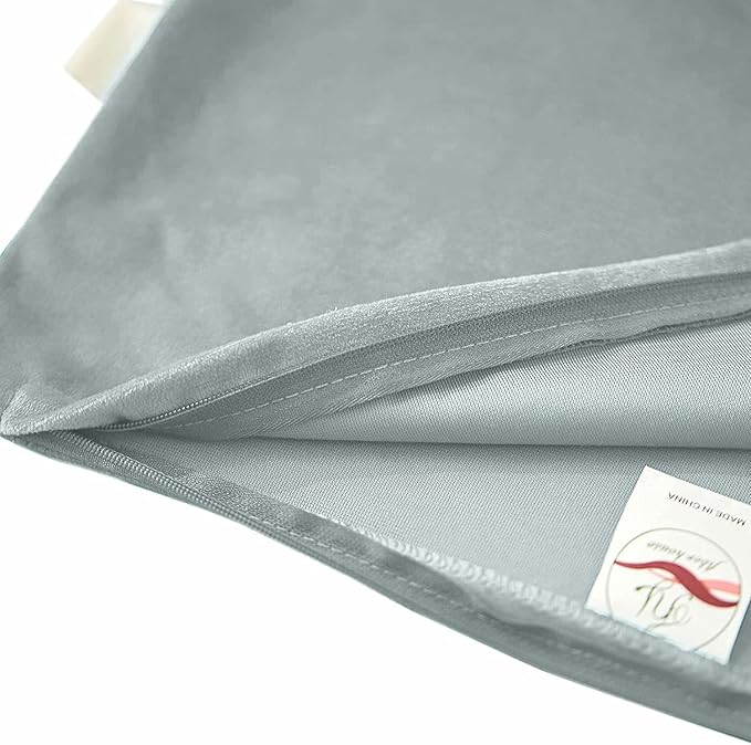 FY FIBER HOUSE Pack of 2 Velvet Throw Pillow Covers Decorative Square Pillowcase Soft Solid Cushion Case for Sofa/Couch Use, 20 x 20 Inch Light Grey