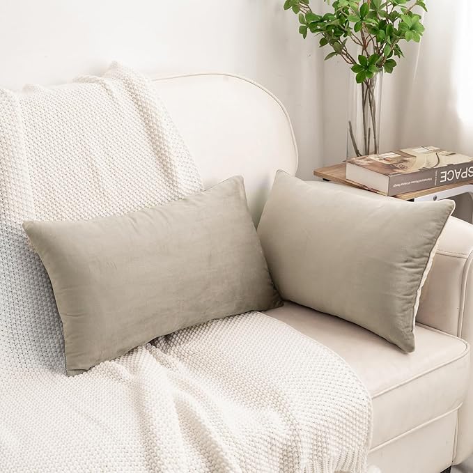 HWY 50 Taupe Velvet Rectangular Throw Pillow Covers 12x20 Inch, Pack of 2 Soft Cozy Solid Decorative Luxury Cushion Cases for Couch Sofa Bed Living Room Bedroom