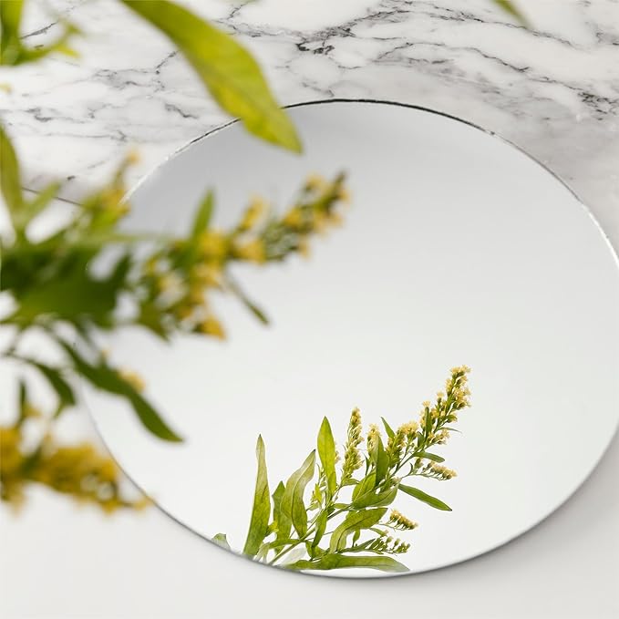 Round Acrylic Mirrors for Centerpieces 10 PCS Circle Mirror Candle Trays 10Inch 1.6mm Round Mirror Trays for Wall Decor,Table Centerpieces,Wedding Party Decorations(Acrylic Material)