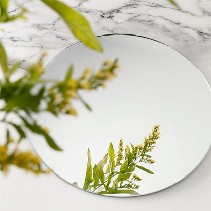 Round Acrylic Mirrors for Centerpieces 10 PCS Circle Mirror Candle Trays 12Inch 1.6mm Round Mirror Trays for Wall Decor,Table Centerpieces,Wedding Party Decorations(Acrylic Material)