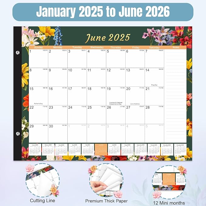 Gannyfer Desk Calendar 2025-2026, Large Calendar 2025 22"x17", 18 Months, January 2025 - Jun 2026, Desktop Pad with Plastic Cover, Thick Paper, Corner Protectors, for Planning and Organizing In Your Family, School or Office-Deep Black