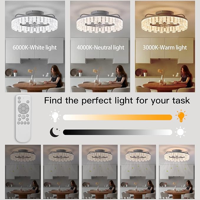 Rustic Silver Caged Ceiling Fan with Light, Personalized Fashion Ceiling Fan Remote Control with Acrylic, LED Low Profile Ceiling Light for Bedroom Kitchen Living Room