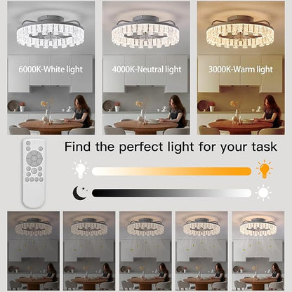 Rustic Silver Caged Ceiling Fan with Light, Personalized Fashion Ceiling Fan Remote Control with Acrylic, LED Low Profile Ceiling Light for Bedroom Kitchen Living Room