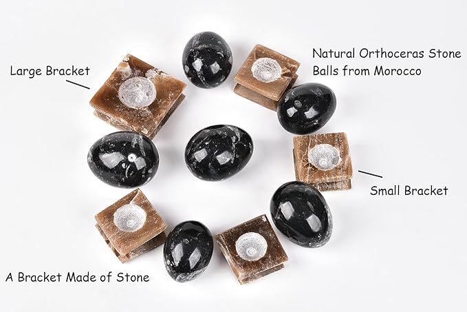 AMOYSTONE Natural Orthoceras Stone Egg Large for Home Decor Ornamet, Single Height 3-3.5"