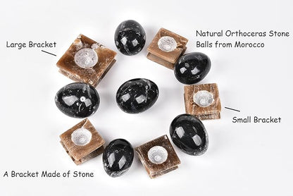 AMOYSTONE Natural Orthoceras Stone Egg Large for Home Decor Ornamet, Single Height 3-3.5"