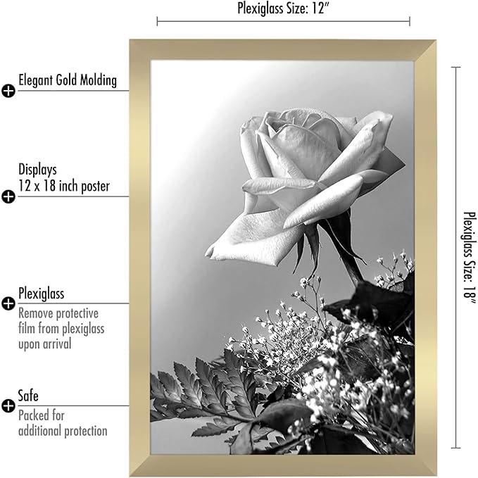 Americanflat 12x18 Poster Frame with Polished Plexiglass - Gold Picture Frame - Wide Photo Frames Made of Engineered Wood for Vertical or Horizontal Wall Display - Epic Collection - Gold