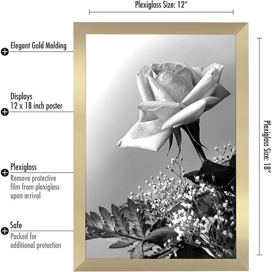 Americanflat 12x18 Poster Frame with Polished Plexiglass - Gold Picture Frame - Wide Photo Frames Made of Engineered Wood for Vertical or Horizontal Wall Display - Epic Collection - Gold