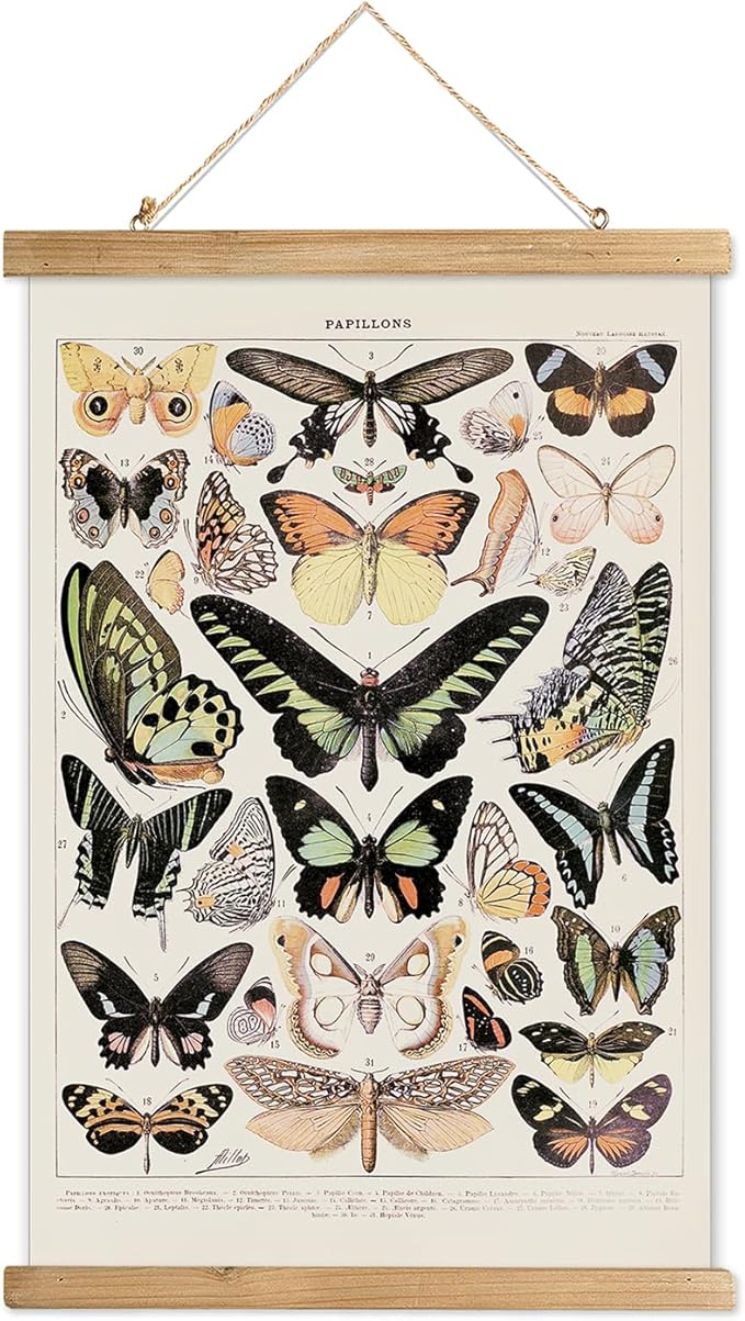 XIAOAIKA Vintage Butterfly Hanging Poster with Wooden Frame, Retro Style Wall Decor Art Painting, Patterns Printed on Linen Without Fading, Ready to Hang (20 x 30)