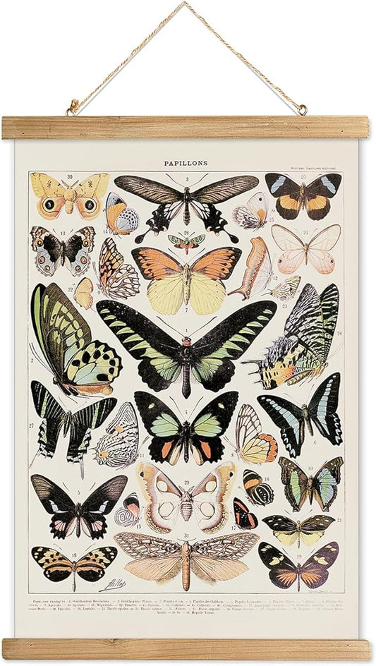 XIAOAIKA Vintage Butterfly Hanging Poster with Wooden Frame, Retro Style Wall Decor Art Painting, Patterns Printed on Linen Without Fading, Ready to Hang (20 x 30)