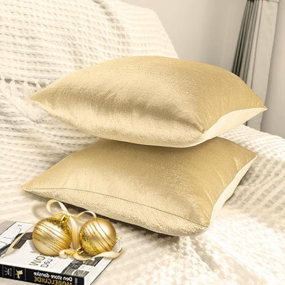 2 Pack 16x16 Pillow Cover Velvet Pillow Covers, Square Throw Pillow Covers for Living Room Decorations Throw Pillow Case, Throw Pillow Cover Cushion Cover for Home Sofa Bedroom Car, Champagne