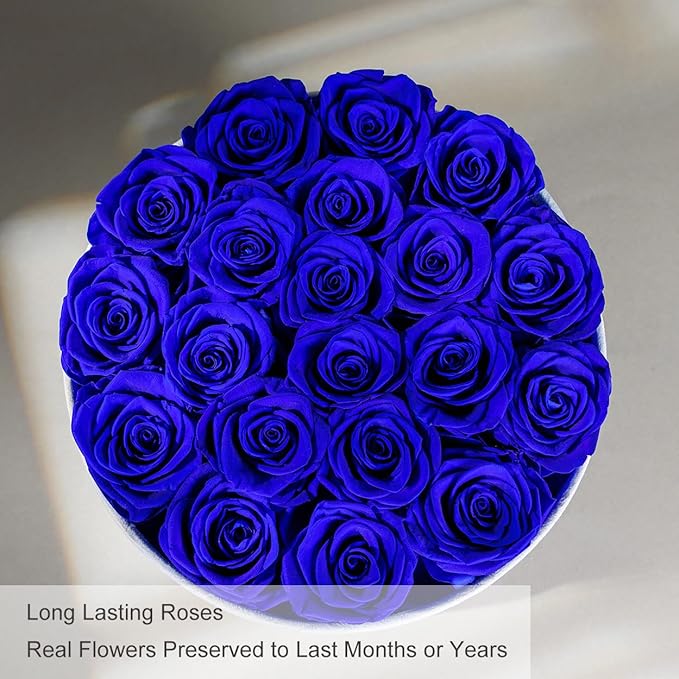Gifts for Women Preserved Roses Flower Box, Luxury Velvet Box with 20 Roses, Preserved Flowers, Romantic Gift for Her, Wife, Girlfriend, Birthday Anniversary Christmas (Royal Blue)