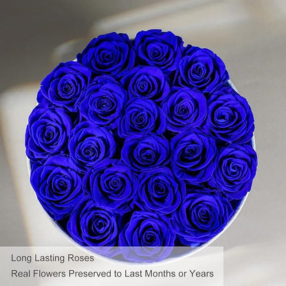 Gifts for Women Preserved Roses Flower Box, Luxury Velvet Box with 20 Roses, Preserved Flowers, Romantic Gift for Her, Wife, Girlfriend, Birthday Anniversary Christmas (Royal Blue)