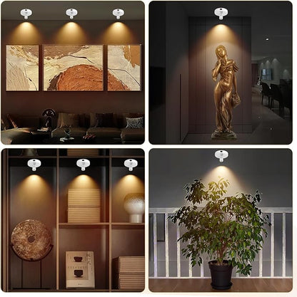 Cordless Spotlight Battery Powered, Plant Spot Light Indoor, Rechargeable Picture Lights with Remote, LED Accent Lighting, Dimmable Uplight for Tree Dartboard Decor Painting Art Photo