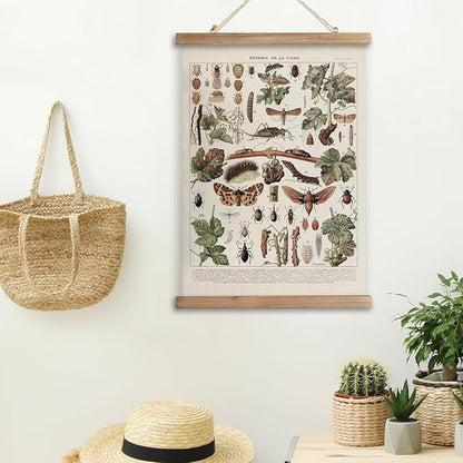 XIAOAIKA Vintage Vineyard Pests Identification Chart - Rustic Wall Hanging Educational Poster with Wooden Scroll Frame - Ideal for Wine Enthusiasts and Gardeners 16 x 23 Inches