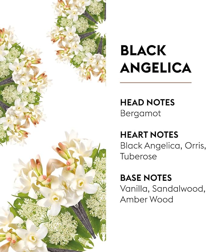 MAISON BERGER Black Angelica Lampe Berger Refill, 500 ml (16.9 fl oz), Odor-Neutralizing Home Fragrance Oil Lamps, Bergamot, Black Angelica, Orris, Tuberose, Vanilla, Made in France