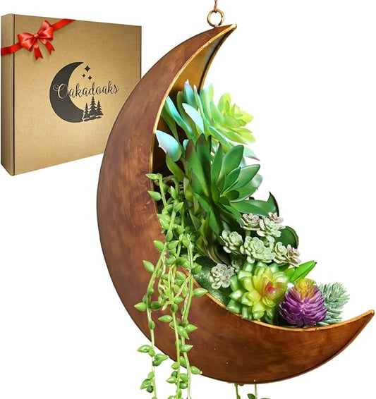 Hanging Moon Planter - Moms Day Gifts for Women - Moon Room Decor - Unique Planters for Succulents,Air Plant, Cactus, Artificial Plants- Plant Lover Gifts - Boho,Hippie, Witchy, Birthdays Gifts