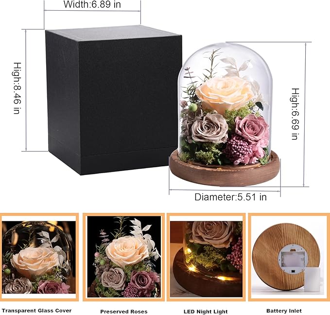 Lovenfold Flowers for Delivery Preserved Rose Gifts for Her,Forever Roses Flowers in Glass Dome,Birthday Gifts for Women Mom Wife Friend(Champagne Rose)