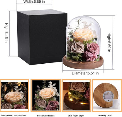 Lovenfold Flowers for Delivery Preserved Rose Gifts for Her,Forever Roses Flowers in Glass Dome,Birthday Gifts for Women Mom Wife Friend(Champagne Rose)