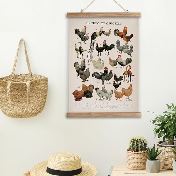 XIAOAIKA Vintage-Inspired Chicken Breeds Art Print - Educational Wall Hanging Poster with Wooden Frame - Rustic Farmhouse Decor, Perfect for Kitchen or Classroom 20 x 30 Inches