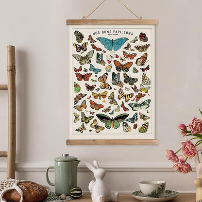 XIAOAIKA Vintage Butterfly Species Poster - Illustrated Educational Chart with Wooden Frame - Entomology Wall Art for Nature Lovers, Classrooms, and Home Decor 12 x 16 Inches