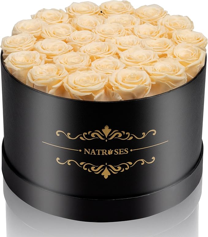 NATROSES 27 Piece Forever Preserved Roses in a Box, Preserved Flowers for Delivery Birthday, for Mom, Buttermilk