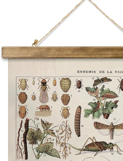 XIAOAIKA Vintage Vineyard Pests Identification Chart - Rustic Wall Hanging Educational Poster with Wooden Scroll Frame - Ideal for Wine Enthusiasts and Gardeners 16 x 23 Inches