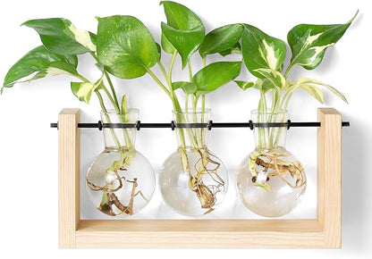 Mkono Plant Terrarium with Wooden Stand, Wall Hanging Glass Planter Desktop Plant Propagation Vase with Metal Swivel Retro Rack for Hydroponics Plants Home Office Decor (3 Bulb Vase)