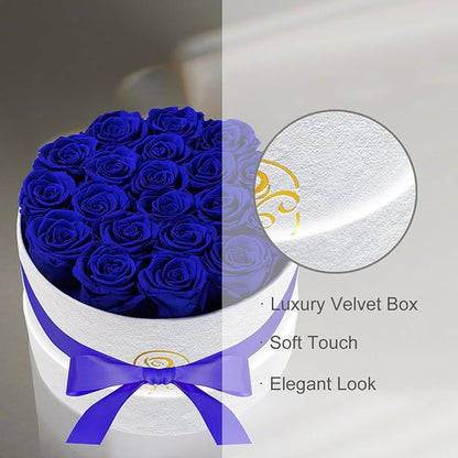 Gifts for Women Preserved Roses Flower Box, Luxury Velvet Box with 20 Roses, Preserved Flowers, Romantic Gift for Her, Wife, Girlfriend, Birthday Anniversary Christmas (Royal Blue)