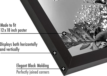 Americanflat 12x18 Poster Frame with Polished Plexiglass - Black Picture Frame - Wide Photo Frames Made of Engineered Wood for Vertical or Horizontal Wall Display - Epic Collection - Black