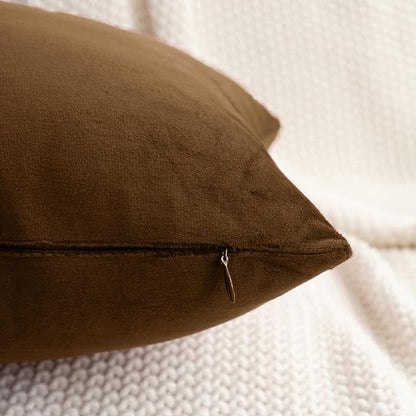 HWY 50 Coffee Velvet Throw Pillow Covers 18x18 Inch, Pack of 2 Soft Cozy Solid Decorative Luxury Cushion Cases for Couch Sofa Bed Living Room Bedroom