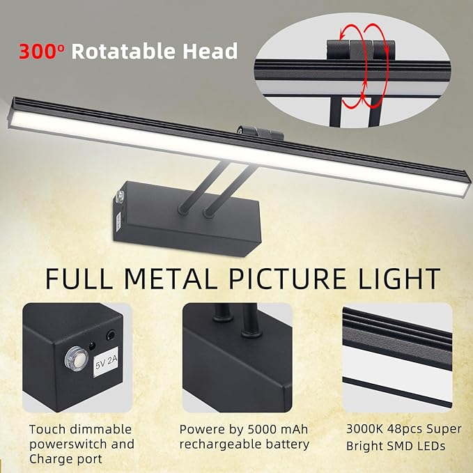 FUNCHDAY Picture Light,Battery Art Lights for Wall,Wireless Remote Painting Light with Timer and Dimmable,20”Metal Display Lighting for Artwork,Portrait,Gallery-BK