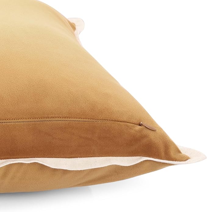 FINGERCRAFT Decorative Throw Pillow Cover Pack of 2 Soft Velvet Cushion Cover, Sofa and Bedroom Pillow Case 20" x 20" Beige