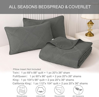 Exclusivo Mezcla Quilts Queen Size - Grey Quilt Set Bedspread with 2 Pillow Shams, Modern Bedding Set with Striped Pattern, Soft Lightweight Bedspreads Queen Size for All Seasons