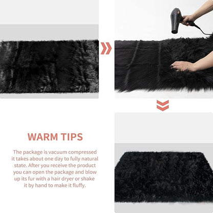 Ciicool Fluffy Area Rug, Black Faux Fur Rugs for Bedroom Living Room, Thick Fuzzy Shag Rug Furry Nursery Rug Plush Indoor Floor Carpets for Kids Girls Boys Teen Dorm, 4x6 ft